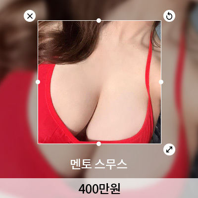 멘토 400 이미지