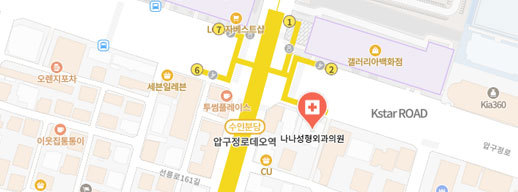 나나성형외과 지도