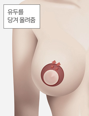 유두를 당겨 올려줌